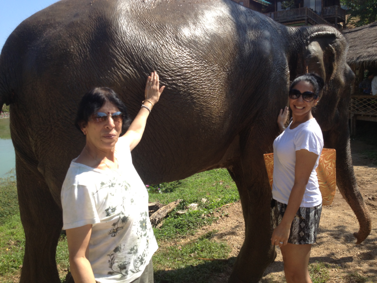 boon lott elephant sanctuary petting elephants