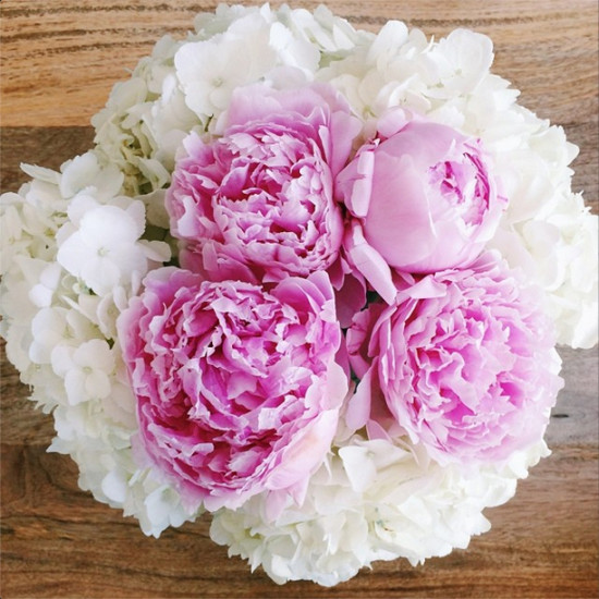 peonies