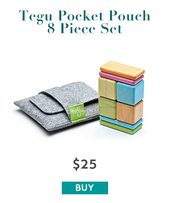 Tegu Pocket Pouch Set