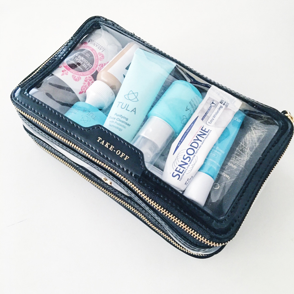 Anya hindmarch discount makeup bag