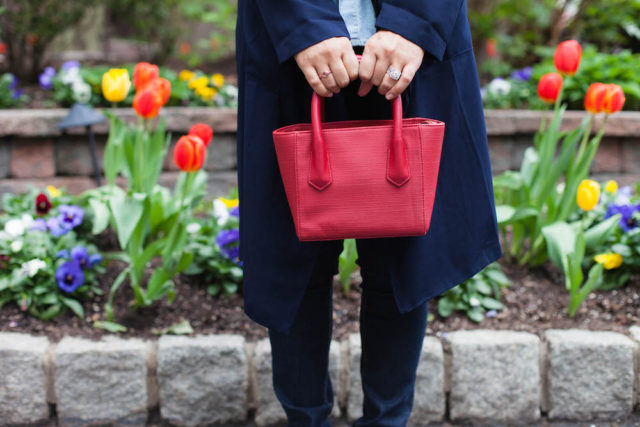 Red Dagne Dover Tiny Tote