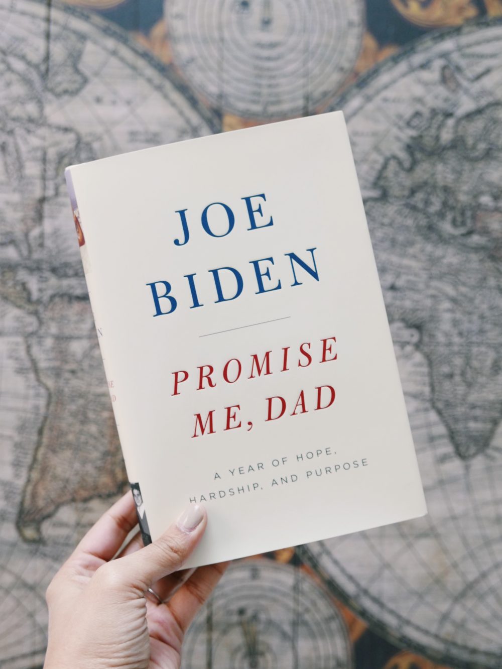 Joe Biden Book